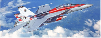 F/A-18F U.S. Navy Special colors 1/48
