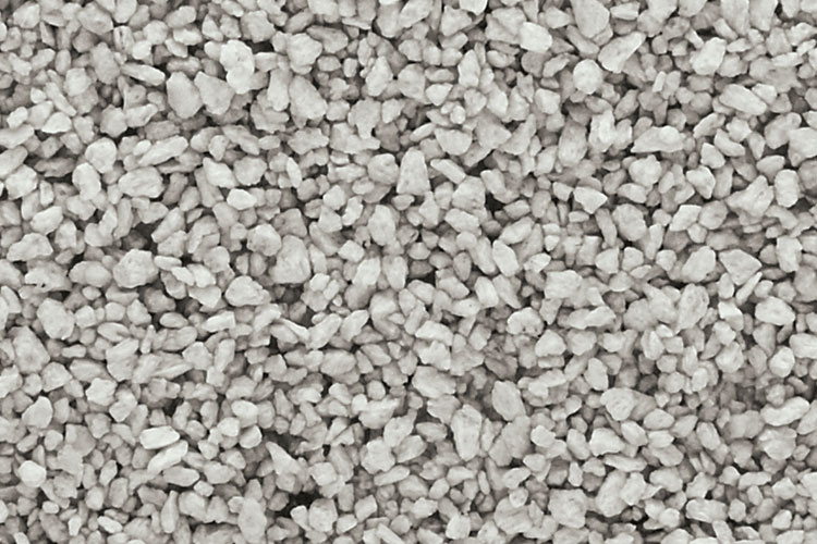 Talus Fine Gray