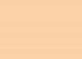 Highlight Flesh 17ML(Panzer Ac