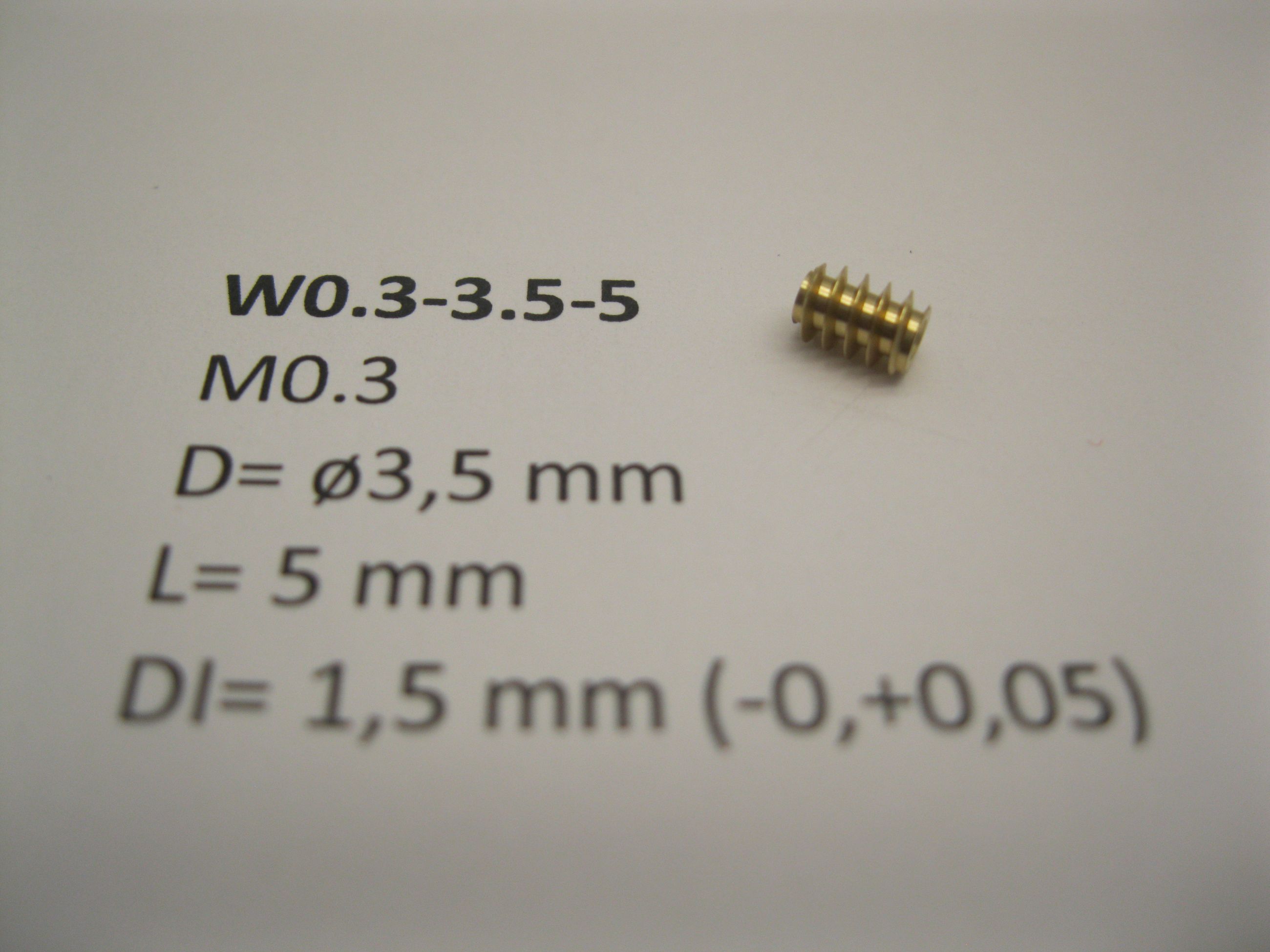 Snäckdrev M0.3 D=ø3.5 L=5 DI=1