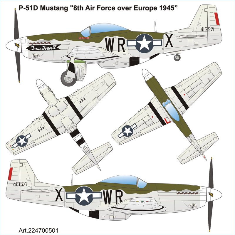 P-51D Texas Terror 1/87