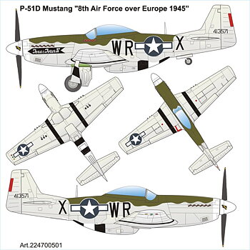 P-51D Texas Terror 1/87