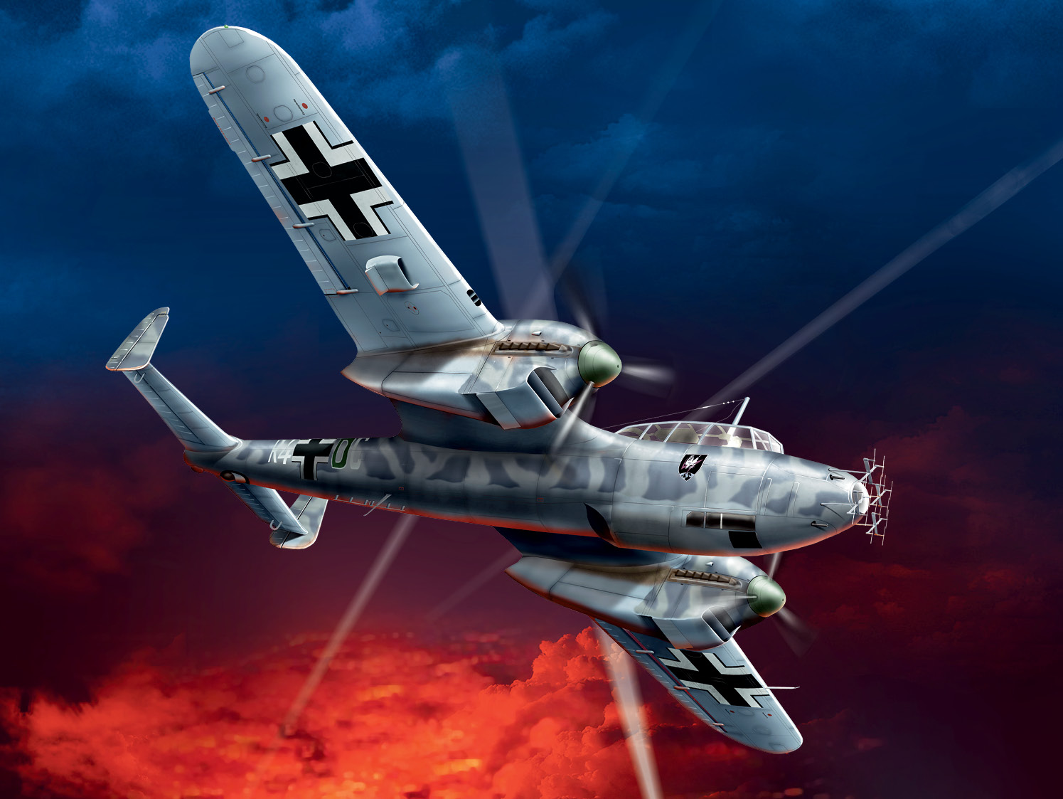 Do 215 B-5 WWII German Night Fighter 1/48 - Habo Hobby