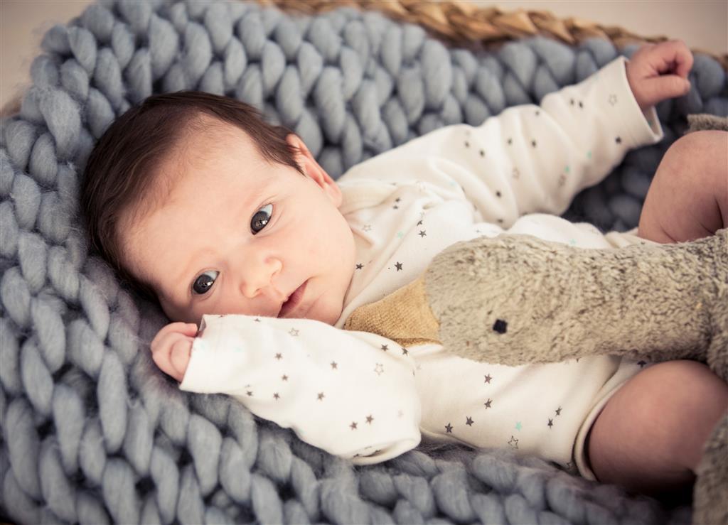 Stor grå gås cuddly mjukdjur med värmekudde  ekologisk - Senger Naturwelt