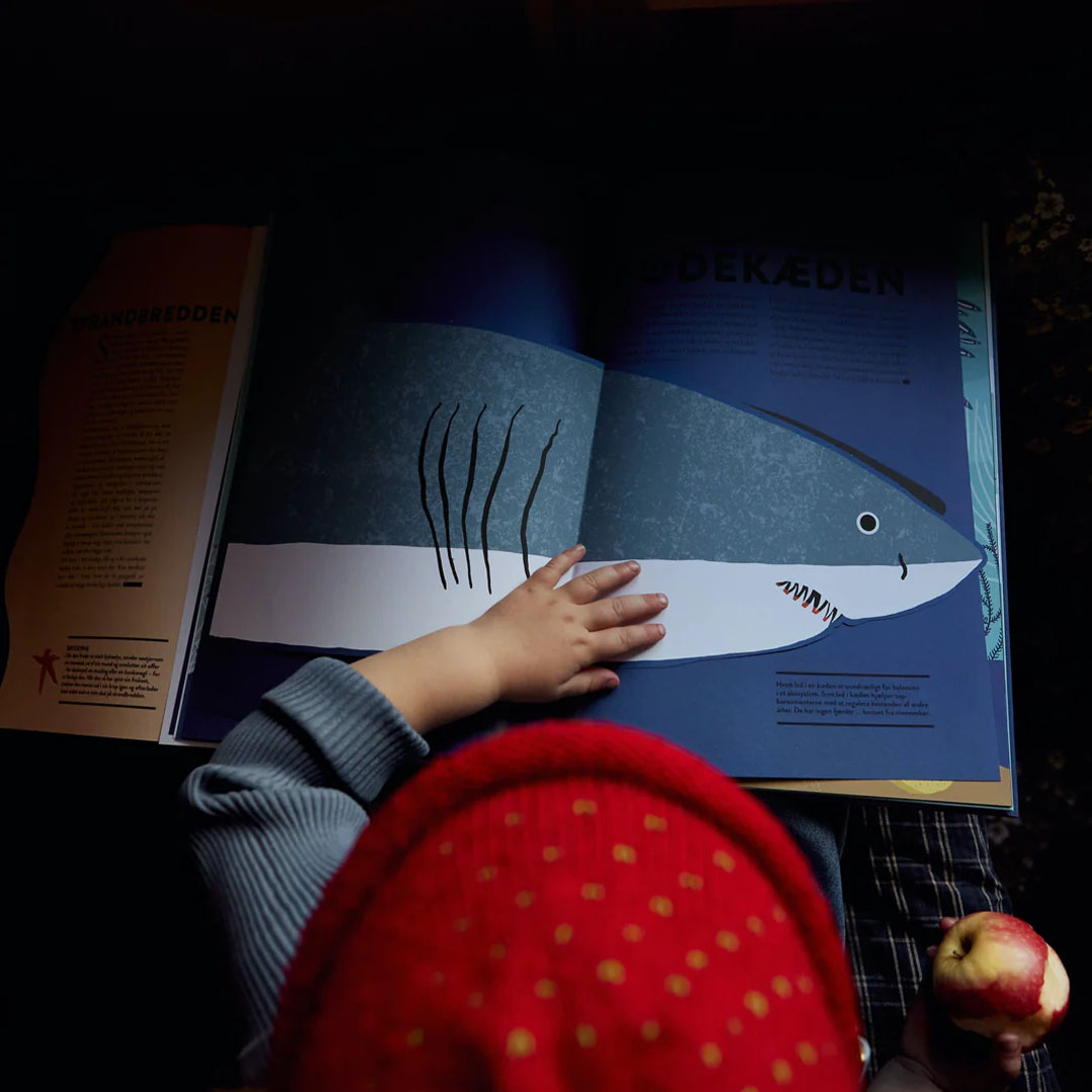 Böcker, spel och bilder om djur, växter och natur