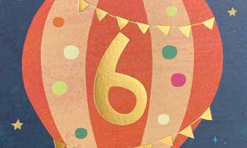 6 år