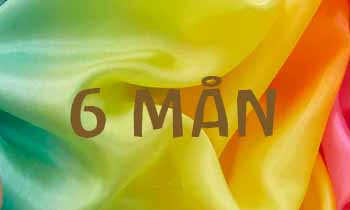 6 mån