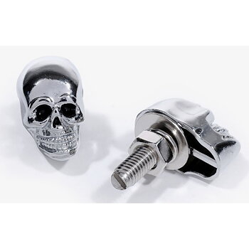 Chromed Skull Screw.