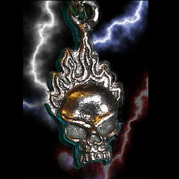 Guardian Blixtlåsdragare Flaming Skull.
