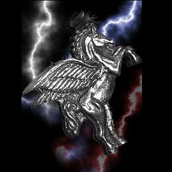 Guardian Blixtlåsdragare Pegasus.