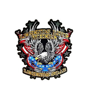 Patriotic Upwing Eagle Patch Smal Brodyrmärke. (13x13cm)