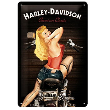 Harley - Davidson Biker Babe Metallskylt (20x30 cm)