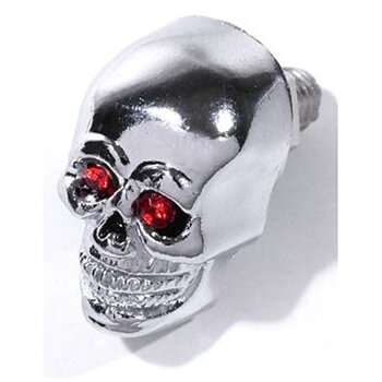 Chromed Skull Red Eyes Screw .