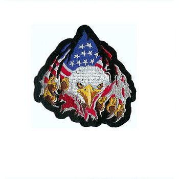 US Angry Eagle Smal Patch Brodyrmärke. (11,5x9,5 cm)