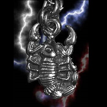 Guardian Blixtlåsdragare Scorpion.