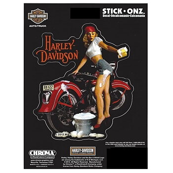 Harley Davidson Shiner Up Dekal. (14,5x12,5 cm)