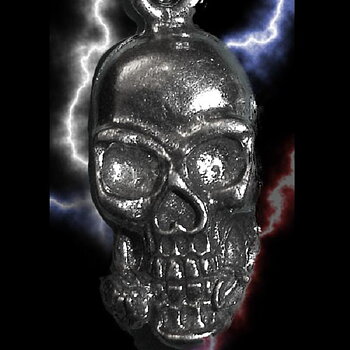 Guardian Blixtlåsdragare Skull.