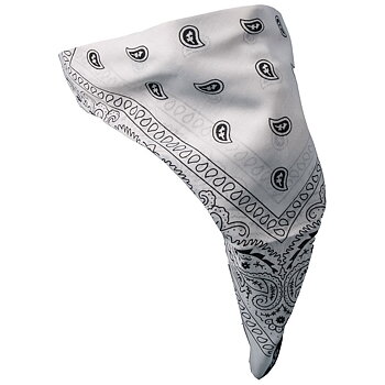 White Paisley Cloth Face Mask.