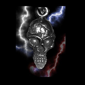 Guardian Blixtlåsdragare Long Skull.