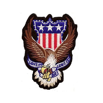 Love It Or Leave It US Eagle Patch Brodyrmärke. (11,5x8,5cm)