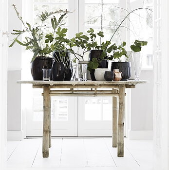 Matbord, Bambu