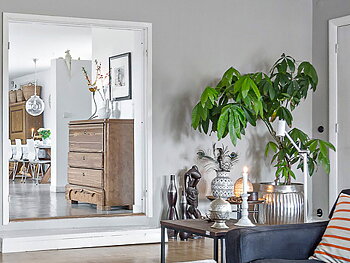 Homestyling online