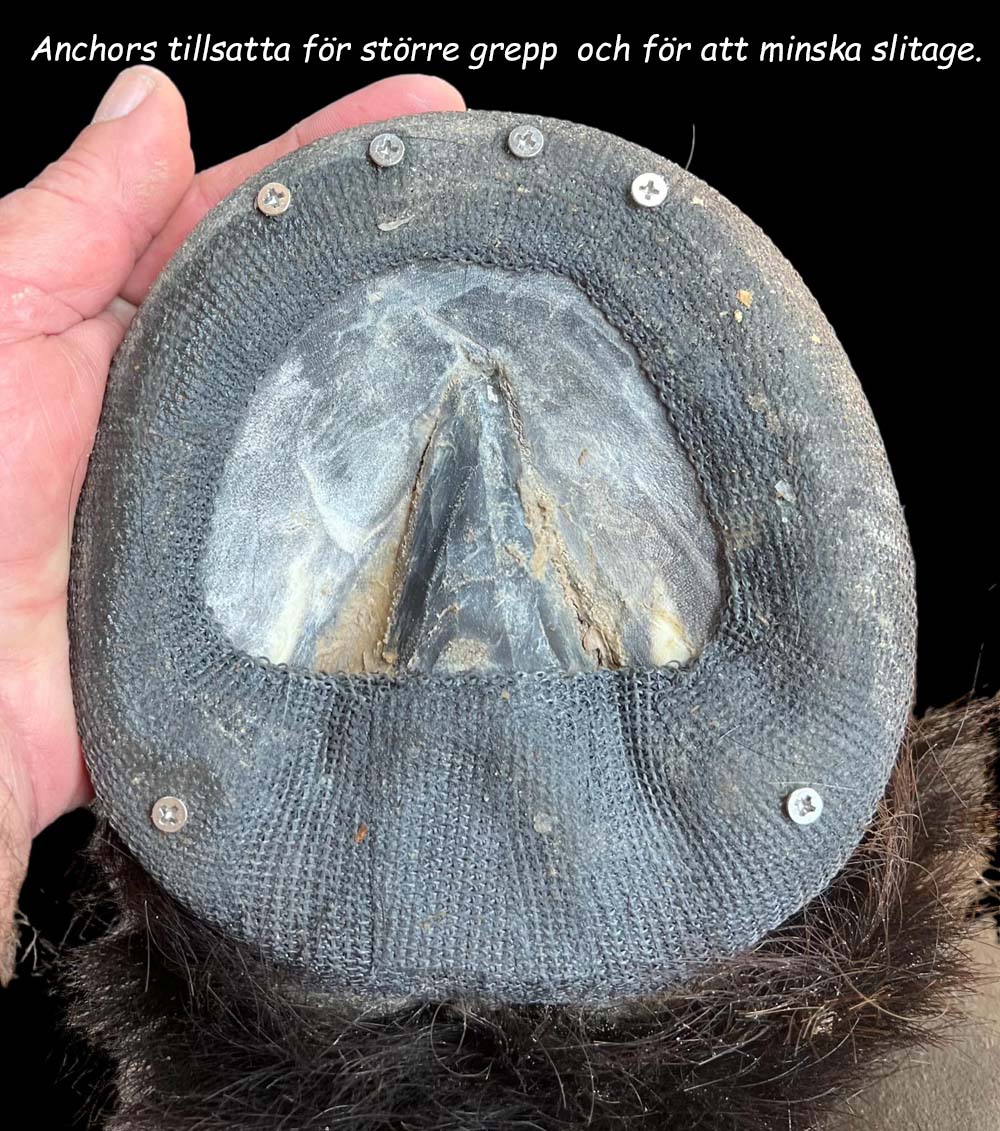 Perfect Hoof Wear - 9