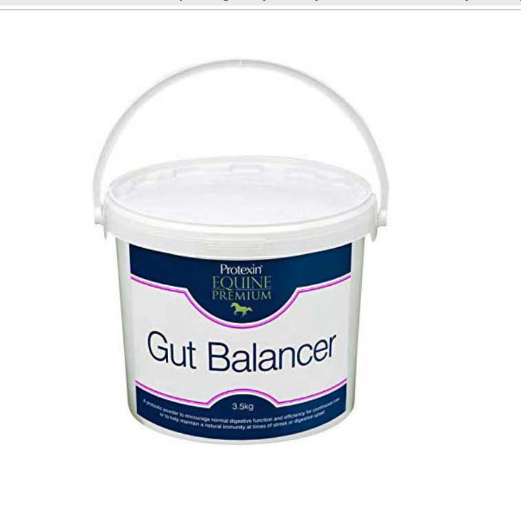 Equine Premium Gut Balancer  - 3