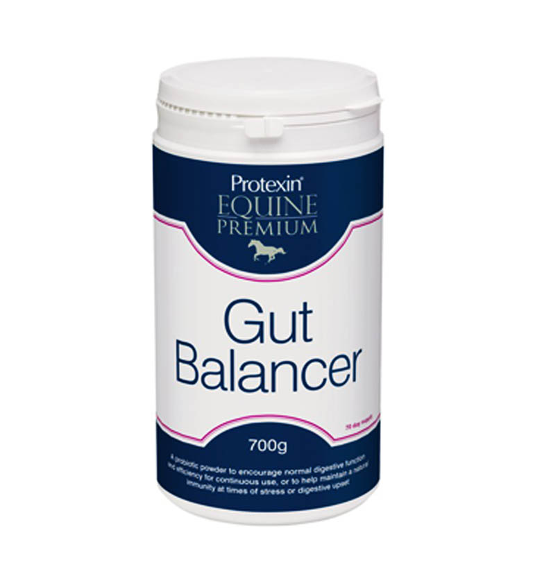 Equine Premium Gut Balancer  - 2