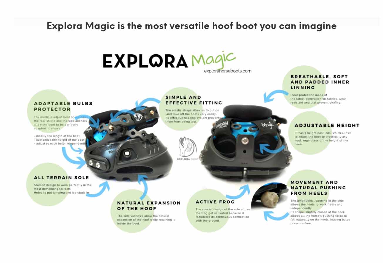 Explora Magic - 5