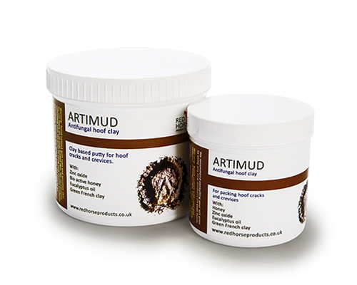 Arti Mud 