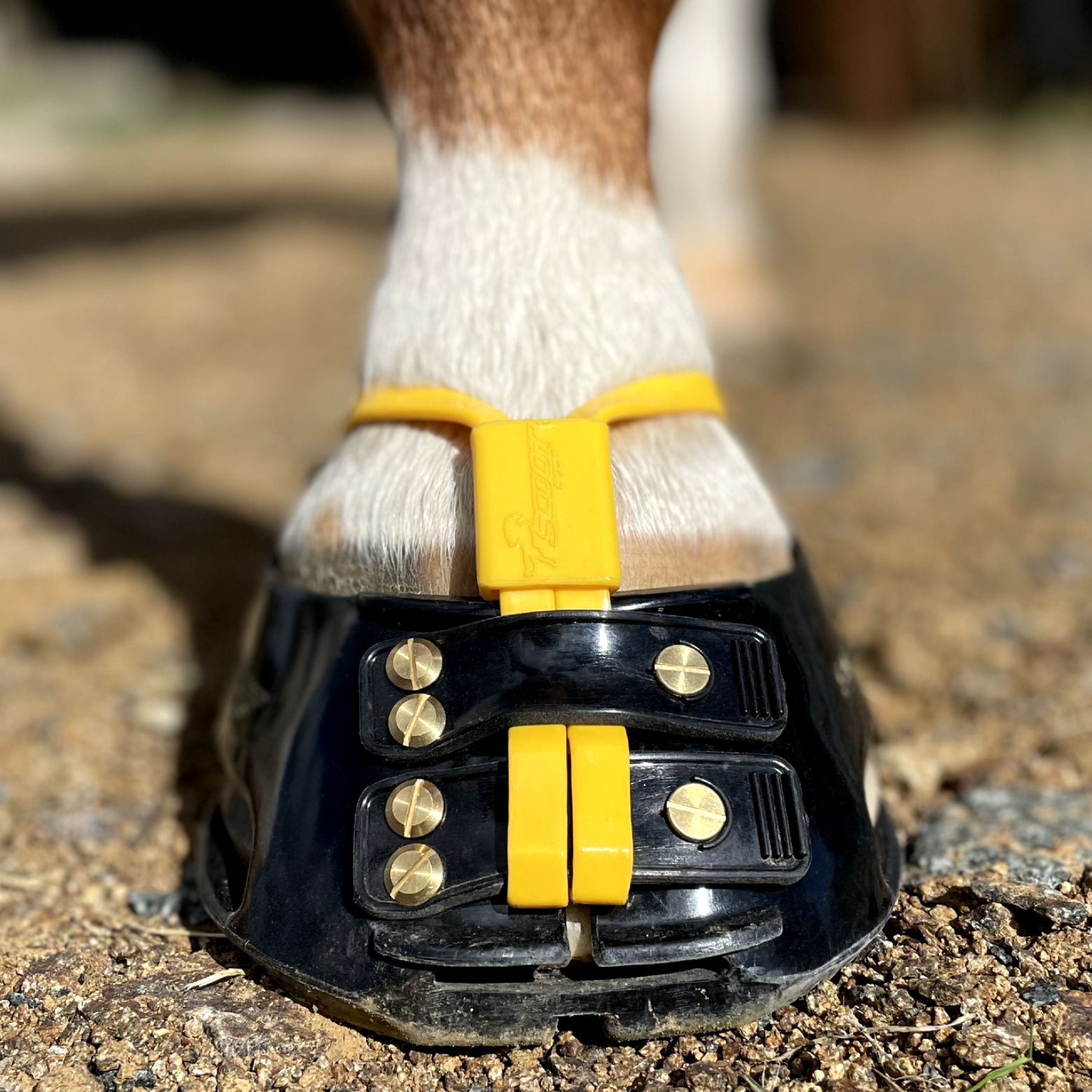Scootboot Mud Strap 2-pack - 3