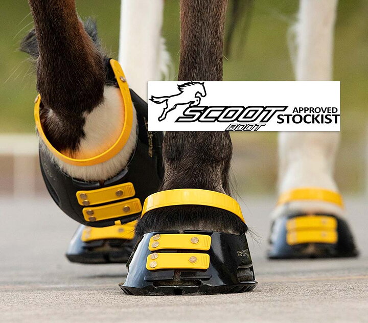 SCOOT BOOT