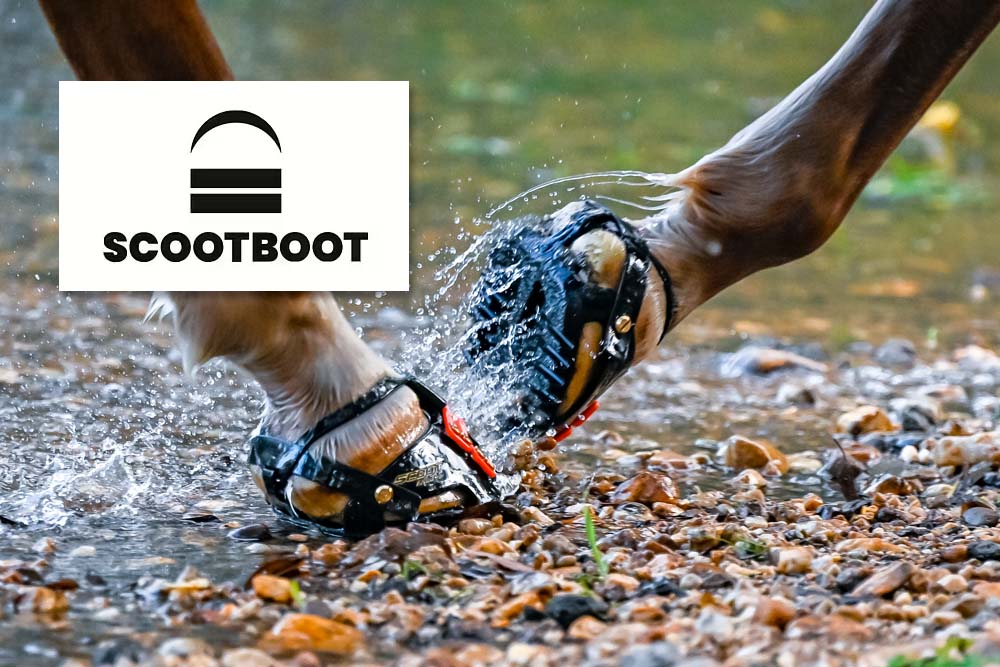 REA! REA! 3 190 SEK/par NU_ 2 900 SEK/par REA!