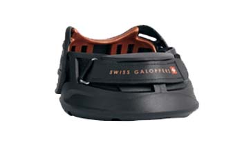 SWISS GALOPPERS
