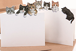 Kort med kuvert "Little kittens"