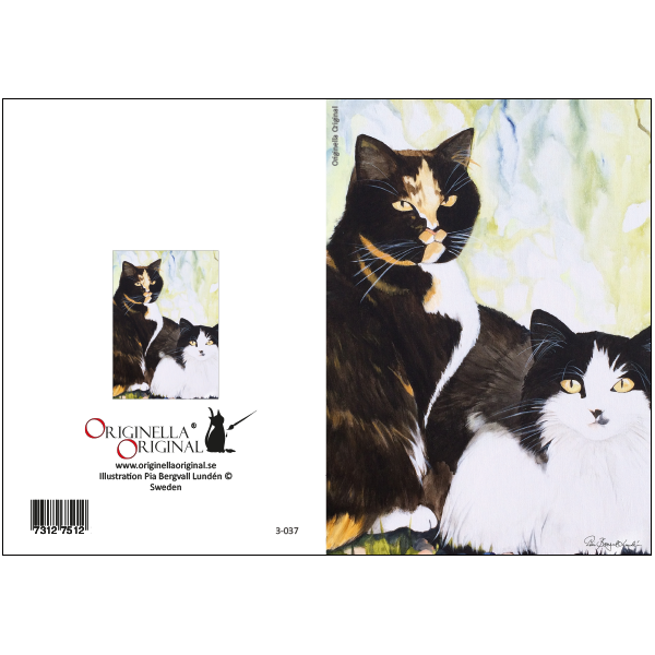 Double card Kattpar