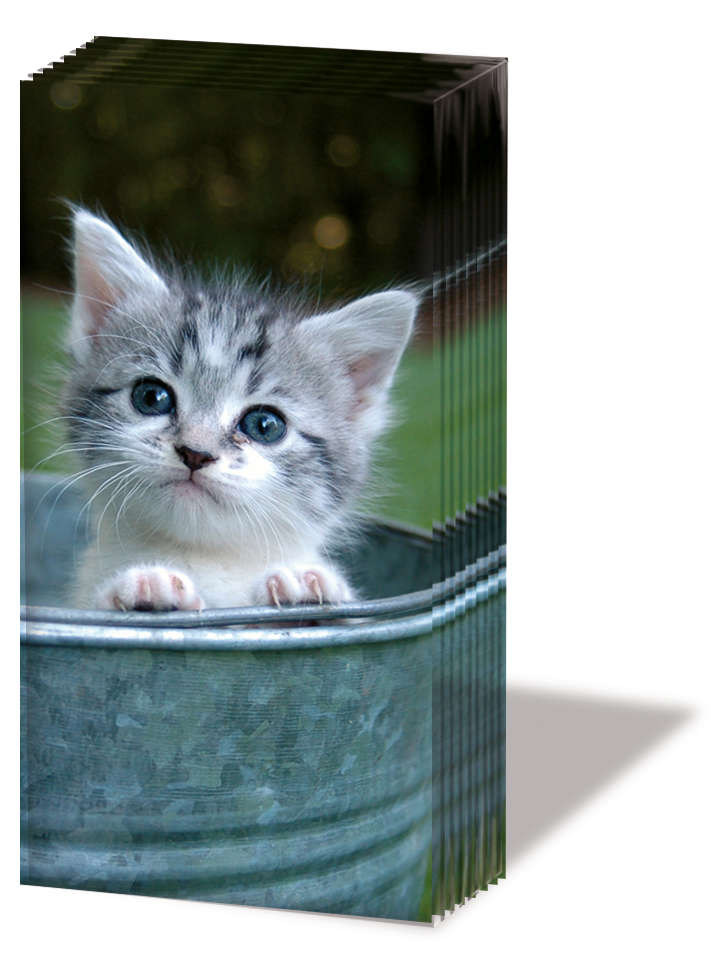  Tissue "Sweet Kitty"