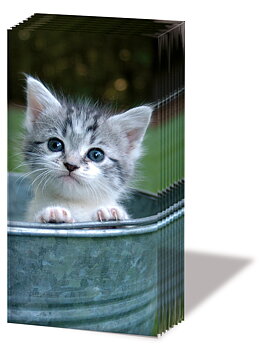 Näsduk "Sweet Kitty"