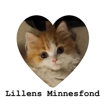 Lillens minnesfond 20 kronor