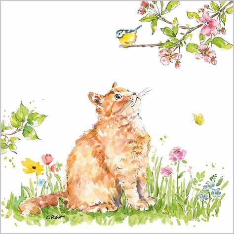 Servett Cat and bird