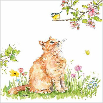 Servett Cat and bird