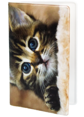 Card Holder - 3