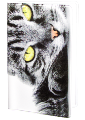 Card Holder - 2