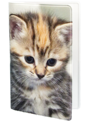 Card Holder - 4