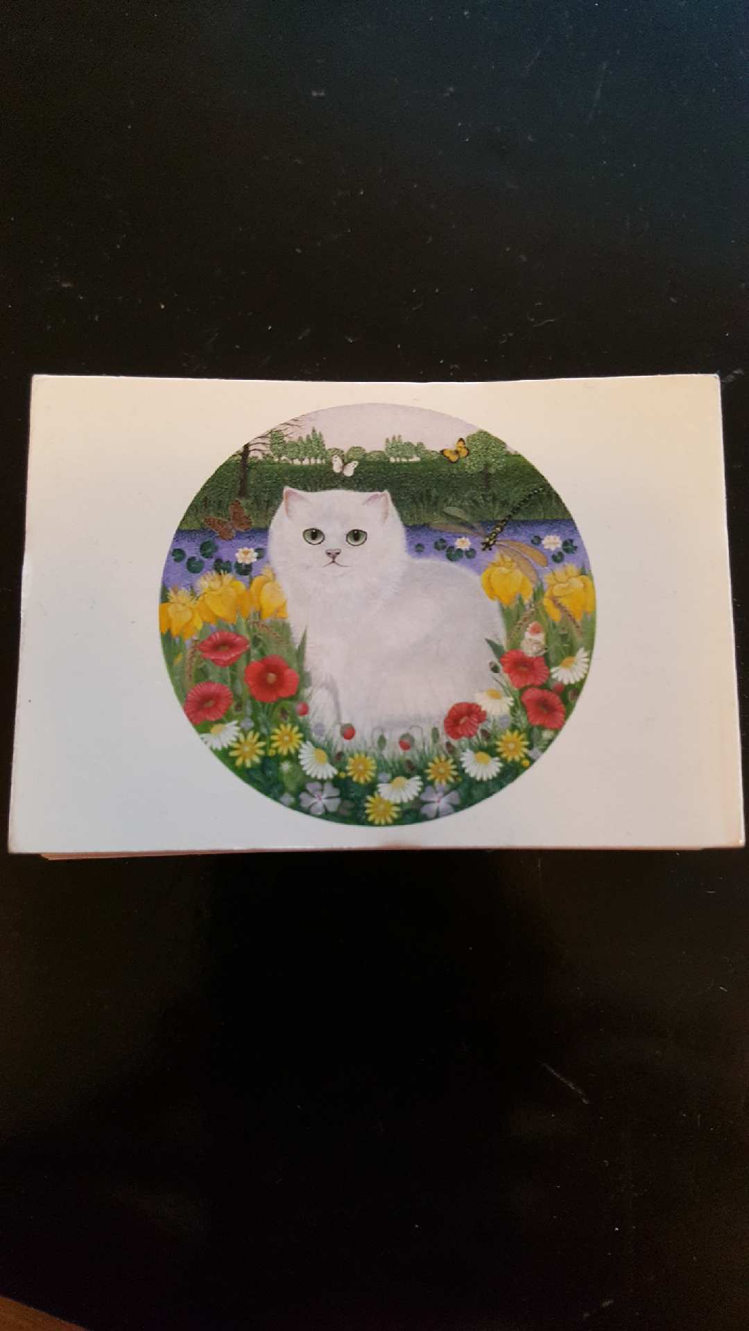 Mini card Vit katt