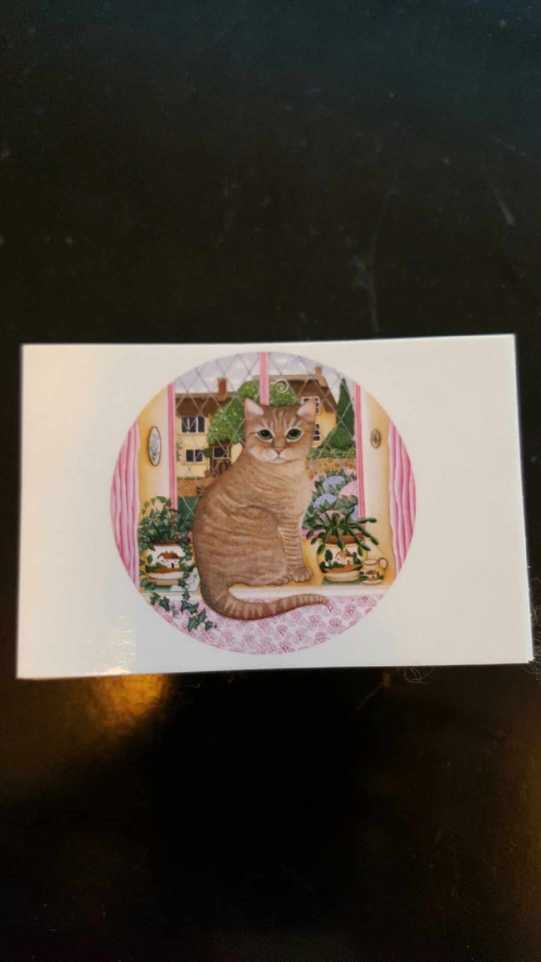 Minicard Bruntigrerad