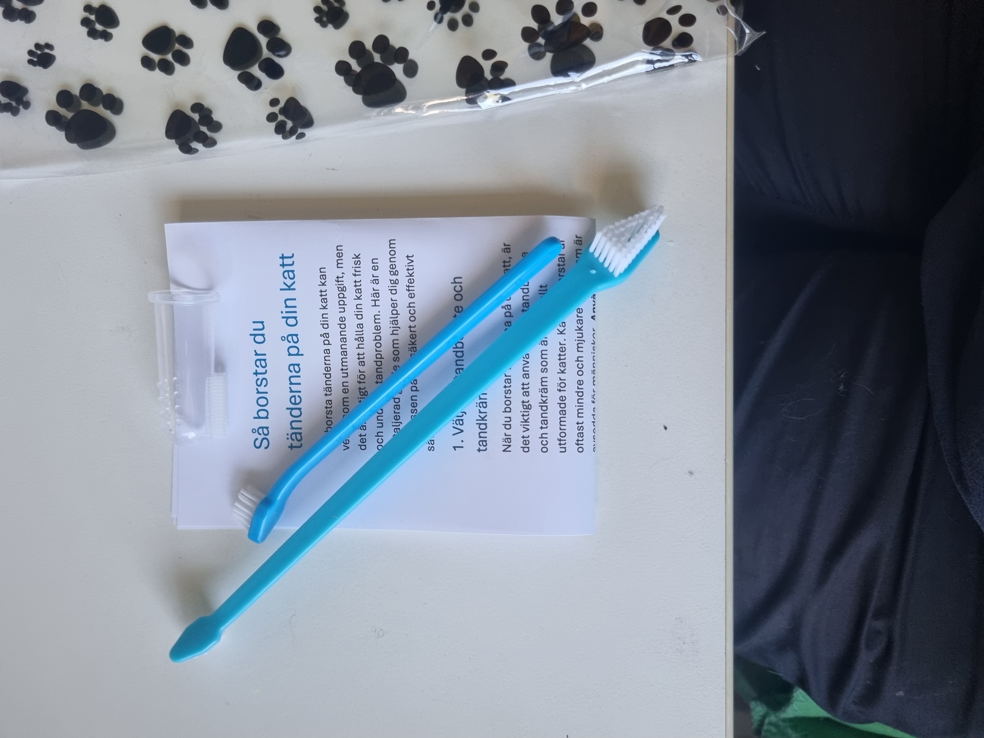 Tandborstset till katt och Bucacat tandkräm - 2