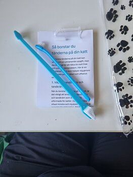 Tandborstset till katt och Bucacat tandkräm