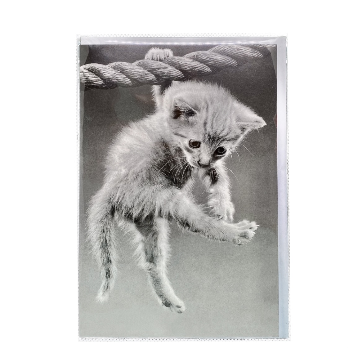 Double card Hängande kattunge